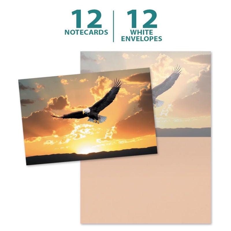 Tree-Free Greetings Soaring Bald Eagle All Occasion Cards - 12 Recycled 4x6 Notecards & White Envelopes, Thick Cardstock, Sustainably Made in USA - Beautiful Bird at Sunset - Image 5
